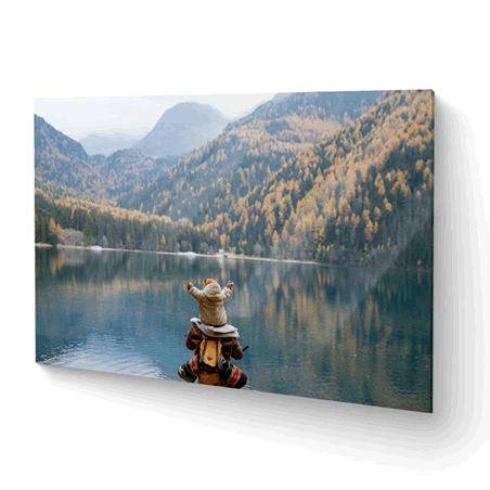 acrylic float mount